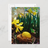 黄色いダッフォジルと黄色いイースター卵 シーズンポストカード (正面/裏面)