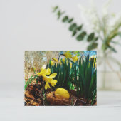 黄色いダッフォジルと黄色いイースター卵 シーズンポストカード (スタンド正面)