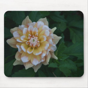 黄色いダリアの花の花のmousepadのギフトのアイディア マウスパッド