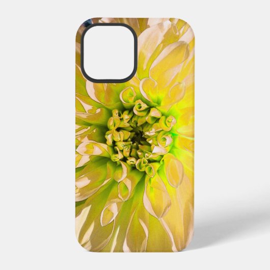 黄色いダリアの花 iPhoneケース (裏面)