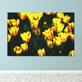 黄色いチューリップの花 キャンバスプリント (インサイチュ (ウッドフロア))