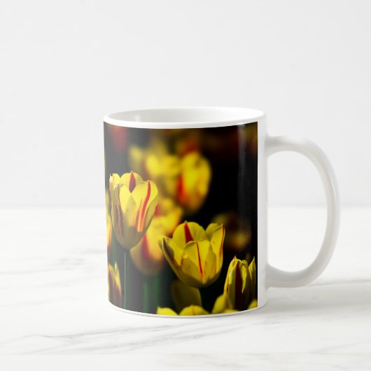 黄色いチューリップの花 コーヒーマグカップ (右)