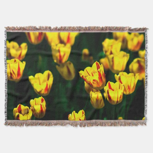 黄色いチューリップの花 スローブランケット (正面)