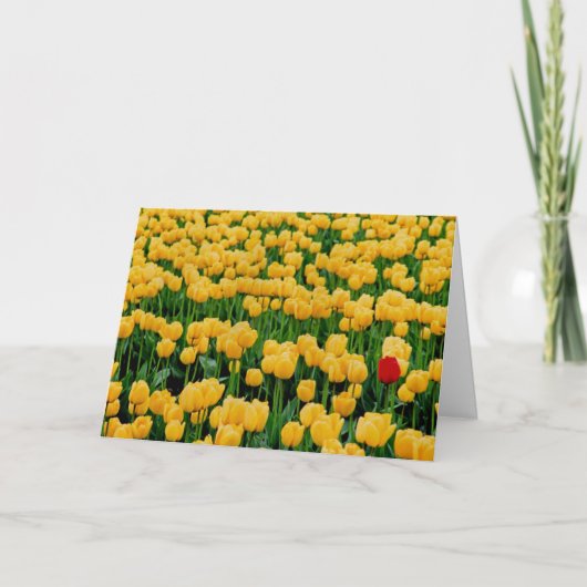 黄色いチューリップの野原に赤いチューリップ カード (正面)