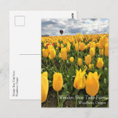 黄色いチューリップ畑と気球のポストカード ポストカード (正面/裏面)