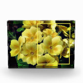 黄色いツツノミの花が独自の花を作成 フォトブロック (正面)