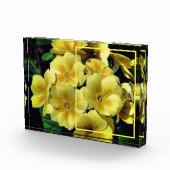 黄色いツツノミの花が独自の花を作成 フォトブロック (右)