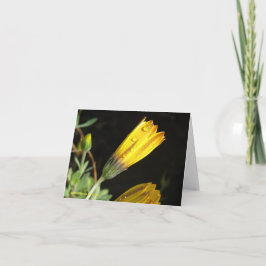 黄色いデイジーに露 – ノートカード
