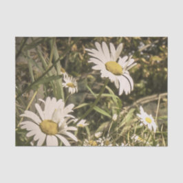 黄色いデイジーの犬の悔やみや弔慰 薄葉紙