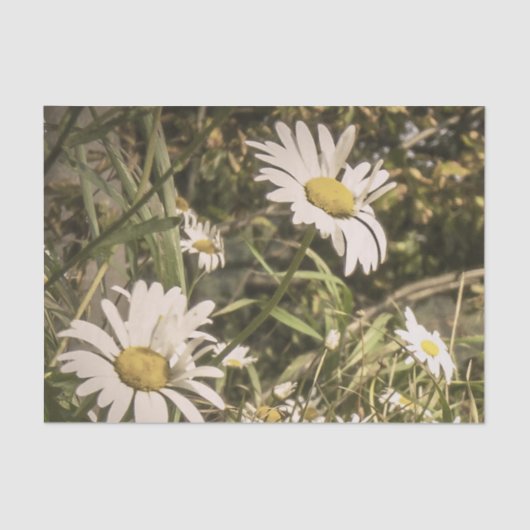 黄色いデイジーの犬の悔やみや弔慰 薄葉紙 (正面)