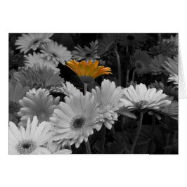 黄色いデイジーカード