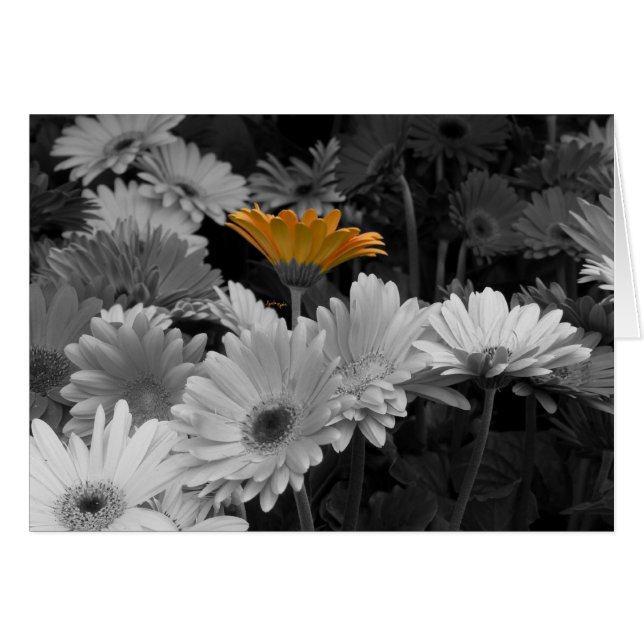 黄色いデイジーカード (正面横)