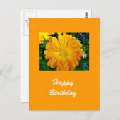 黄色いデイジー花 ポストカード (正面/裏面)