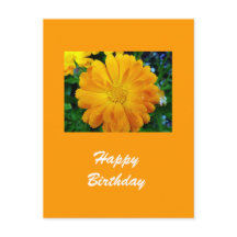 黄色いデイジー花