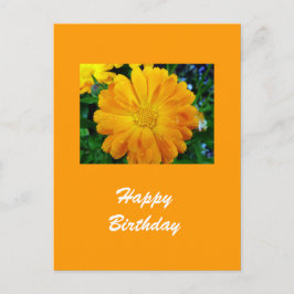 黄色いデイジー花 ポストカード