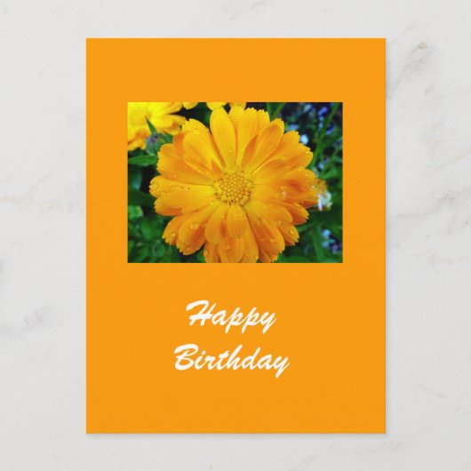 黄色いデイジー花 ポストカード (正面)