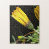 黄色いデイジー-パズル ジグソーパズル (縦)