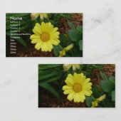 黄色いデイジー 名刺 (正面/裏面)