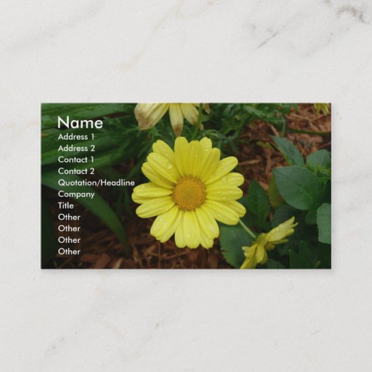 黄色いデイジー 名刺 (正面)