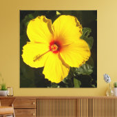 黄色いハイビスカスの花 キャンバスプリント (インサイチュ (リビング))