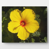 黄色いハイビスカスの花 フォトプラーク (正面)