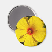 黄色いハイビスカスの花 マグネット (正面/裏面)