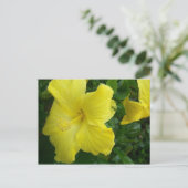 黄色いハイビスカスの郵便はがき ポストカード (スタンド正面)