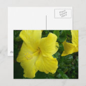 黄色いハイビスカスの郵便はがき ポストカード (正面/裏面)