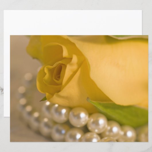 黄色いバラと真珠 (正面/裏面)