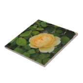 黄色いバラの上の雨粒 タイル (側面)