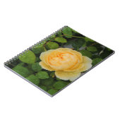 黄色いバラの上の雨粒 ノートブック (左側)