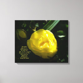 黄色いバラの柔らかい光のように キャンバスプリント