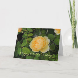黄色いバラの母の日のカードの雨滴 カード