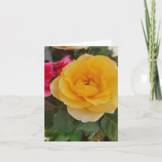 黄色いバラの花が咲く母の日 シーズンカード (正面)