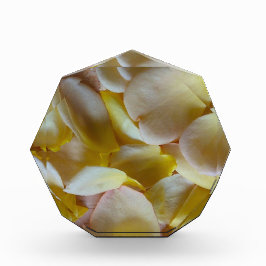 黄色いバラの花びら フォトブロック