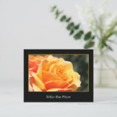 黄色いバラの花、愛とロマンス ポストカード (スタンド正面)