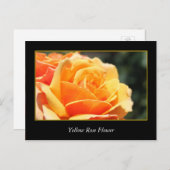 黄色いバラの花、愛とロマンス ポストカード (正面/裏面)