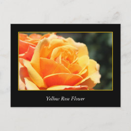 黄色いバラの花、愛とロマンス ポストカード