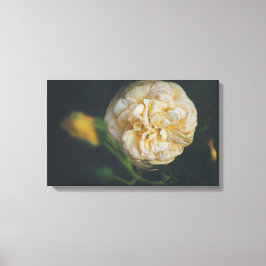 黄色いバラ キャンバスプリント