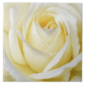 黄色いバラ タイル (正面)