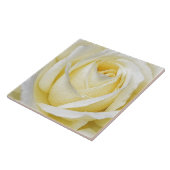 黄色いバラ タイル (側面)