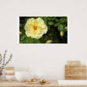 黄色いバラ ポスター (キッチン)