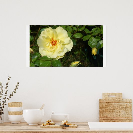 黄色いバラ ポスター (キッチン)