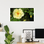 黄色いバラ ポスター (ホームオフィス)