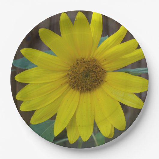 黄色いヒマワリを閉じる ペーパープレート (正面)
