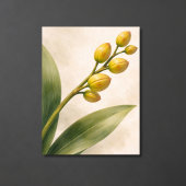 黄色いファレノプシス蘭の蕾の植物画 ポスター