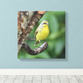 黄色いフォンテドカナリアが木の枝に止まる キャンバスプリント (インサイチュ (ウッドフロア))