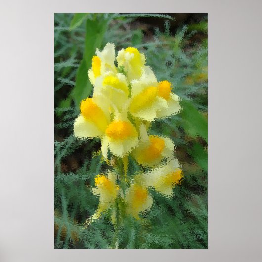 黄色いフラワーポスター ポスター (正面)