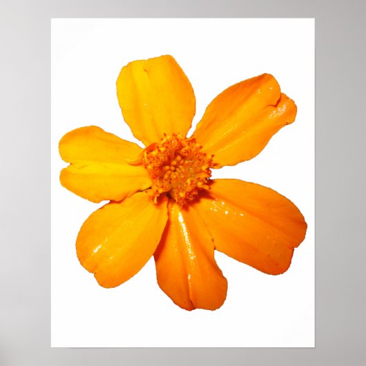 黄色いフラワーポスター ポスター (正面)