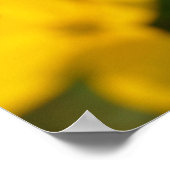 黄色いフラワーポスター ポスター (角)